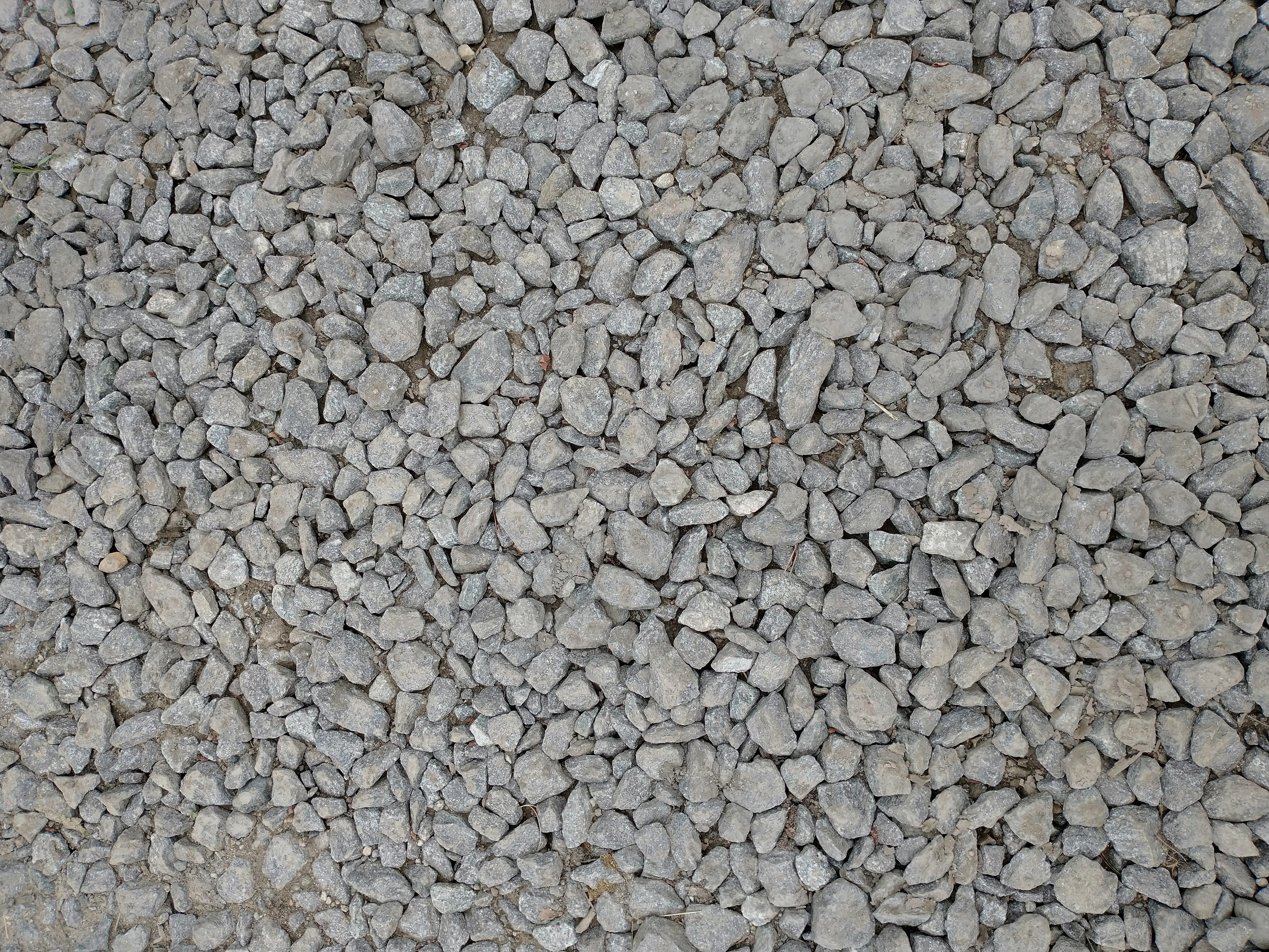 Best driveway materials for hot climates in Florida — Drivewayz USA